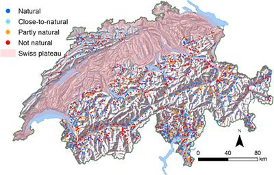 Maintaining the protective function of <mark class="highlighted">mountain forests</mark> under climate change by the concept of naturalness in tree species composition